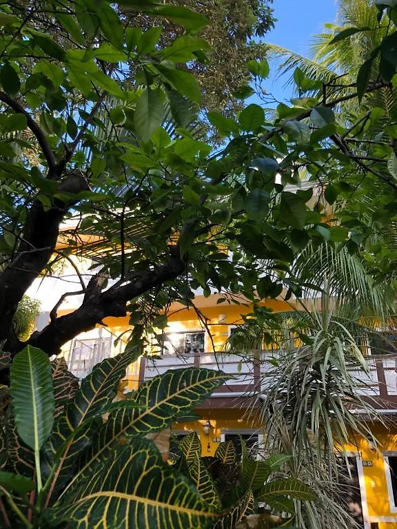 ***  Beach Energy Hotel By Bfh Playa del Carmen Mexiko